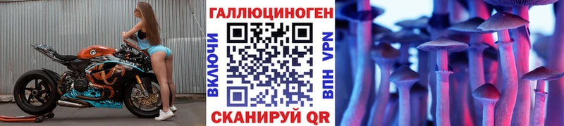 Купить где  Приморск  Галлюциногенные грибы ЛСД 
